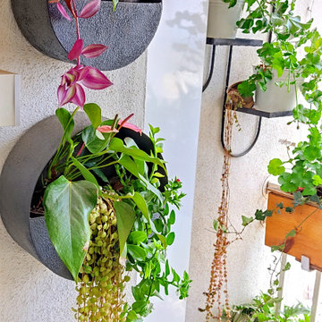 Arthy's Balcony Gardens
