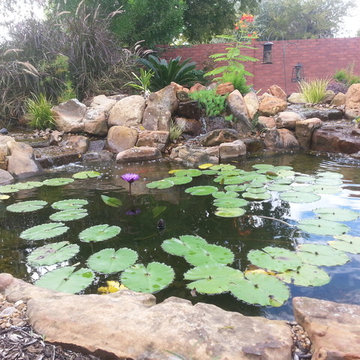 Ecosystem Ponds, Water Garden Ideas for Your Austin, Central Texas Landscape