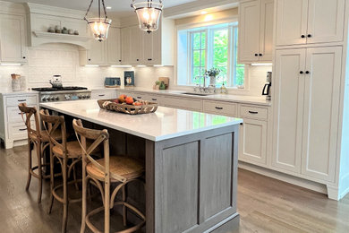 Kitchen - traditional kitchen idea with white cabinets and stainless steel appliances