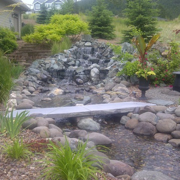 Water Features & Ponds