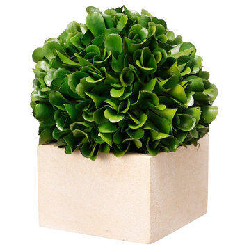 A&B Home 5.5" Artificial Petit Boxwood Boxed Topiary