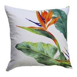 Cushions - Decorative Cushions