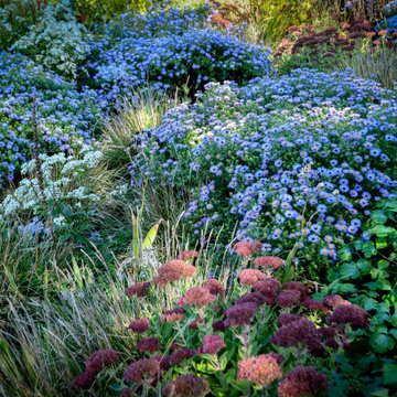Plant a Native plant garden