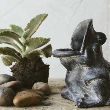 Cast Iron Frog