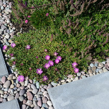 Contemporary Seaside Garden