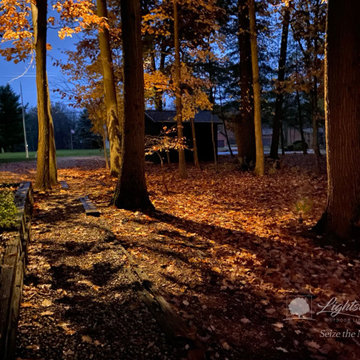 Landscape Lighting Design - Downlighting