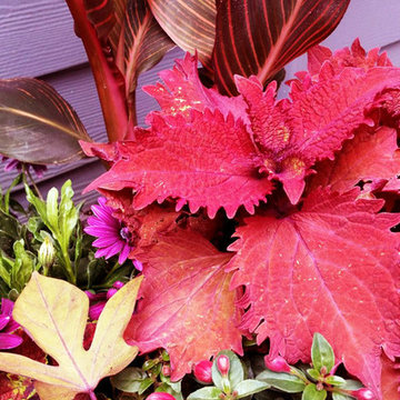 Olander . Garden . Design - Containers