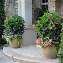 Planters, Pots, Contsiners