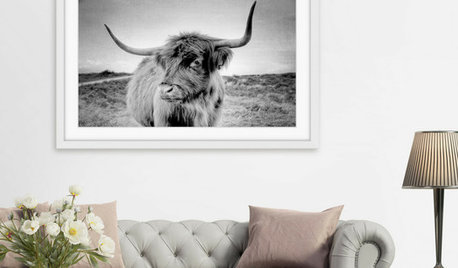 Up to 45% Off Wall Art