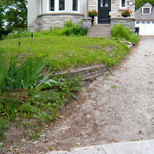 Landscaping ideas