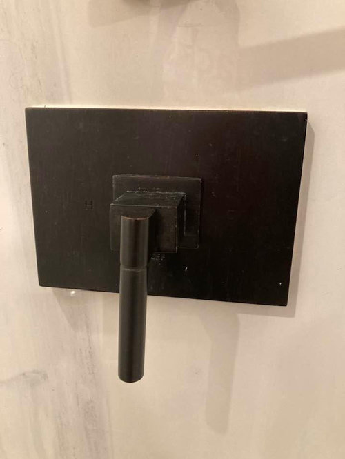 Need help identifying a shower control and how to remove