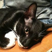 Manny Grenader's photo