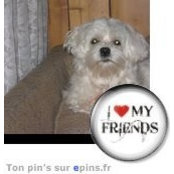 Christine Pelletier's photo