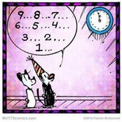 Kristin Dolan's photo