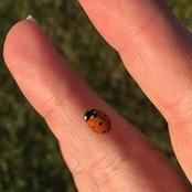 Katie Sendaj's photo