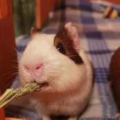 Taylor Shore's photo