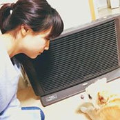 井原成美's photo