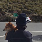 陳靖's photo