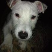 Stan Steele's photo