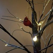 Foto von Mary Mayrosh