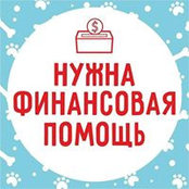 Foto von Светлана Дьячкова