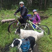 David Thibodeau's photo