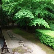 Foto von 松本通