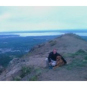 David A's photo