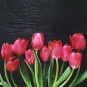 Hawra Khamis's photo