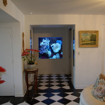 A portfolio of custom aquariums from our 17+ year history.