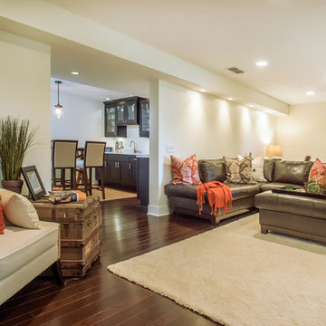 Basement Finish