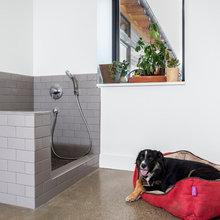 Dog Wash