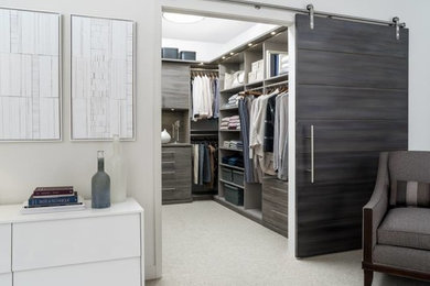 Inspiration for a contemporary storage and wardrobe.