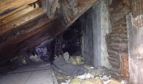 Avant/Après :  Une studette gagne une chambre de 10 m² en combles