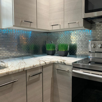 St Pete Condo Remodel