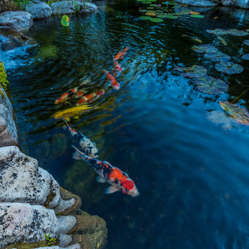 Custom Pond Project in Knoxville Tennessee