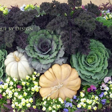 Fall Outdoor Design