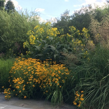 Half-Acre Garden in Towson, MD