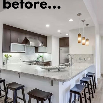 Dazzling Full Luxury Condo Remodel