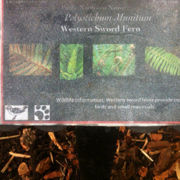Educational & Interactive Gardens
