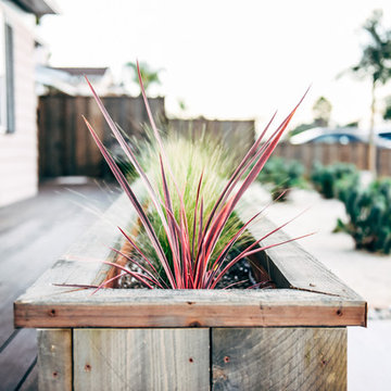 North Park Craftsman Xeriscape