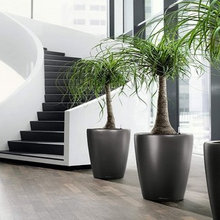 OFFICE BUILDING ENTRANCE THEMES AND IDEAS