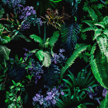Living Walls