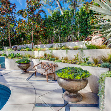 Hollywood Hills Landscape Design Project