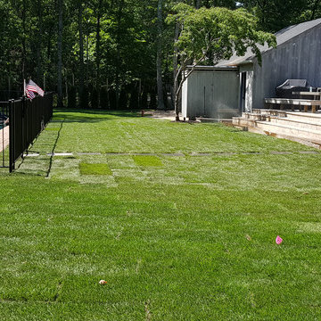 Backyard Makeover Installing Sod, Privacy Hedge, Flower Garden, Gravel Driveway