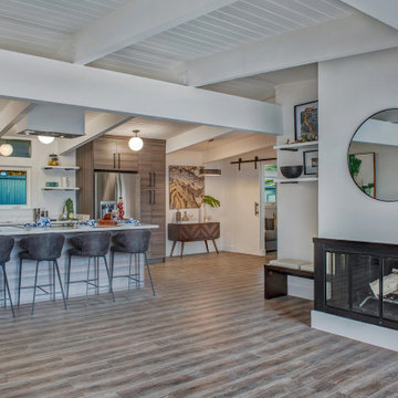 Mid Century Modern Residential