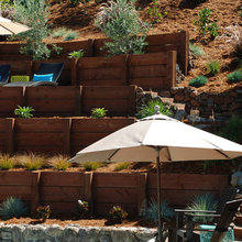 Landscape Ideas