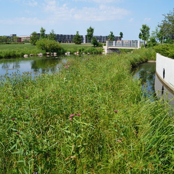 Shoreline Projects