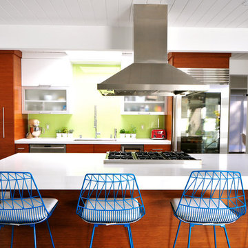 Mid Century Modern - Eichler Renovation