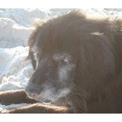 Tina Rickabaugh's photo